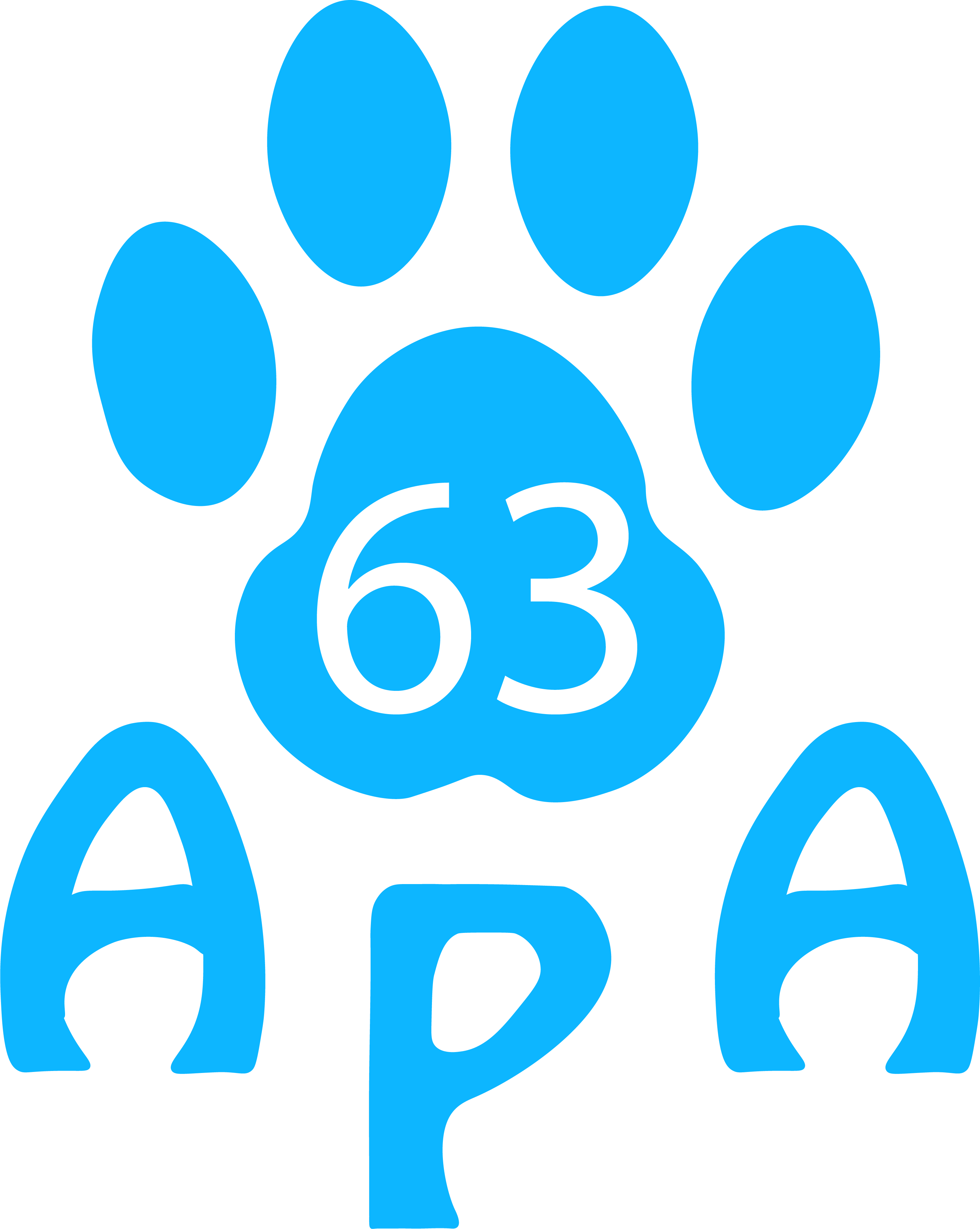 Application web APA 63 - Réalisée par Jessy Frachisse développeur web Clermont-Ferrand